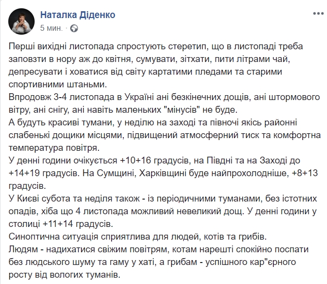 "Будут красивые туманы": синоптик дала прогноз погоды на выходные
